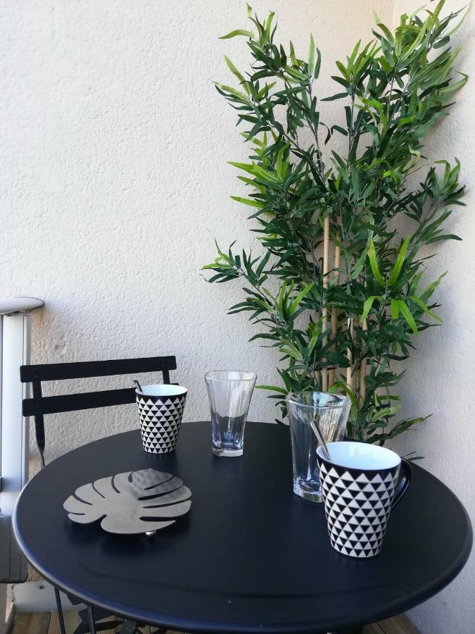 Appartement Cosy Proche Meteo France Et Airbus Toulouse Exterior photo